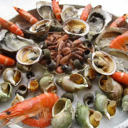 Stelie Tocqueville-en-Caux