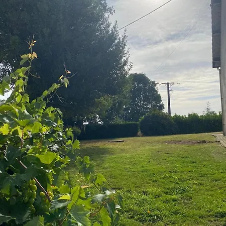 Stelie Tocqueville-en-Caux